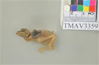 藏品(麻雀)的圖片